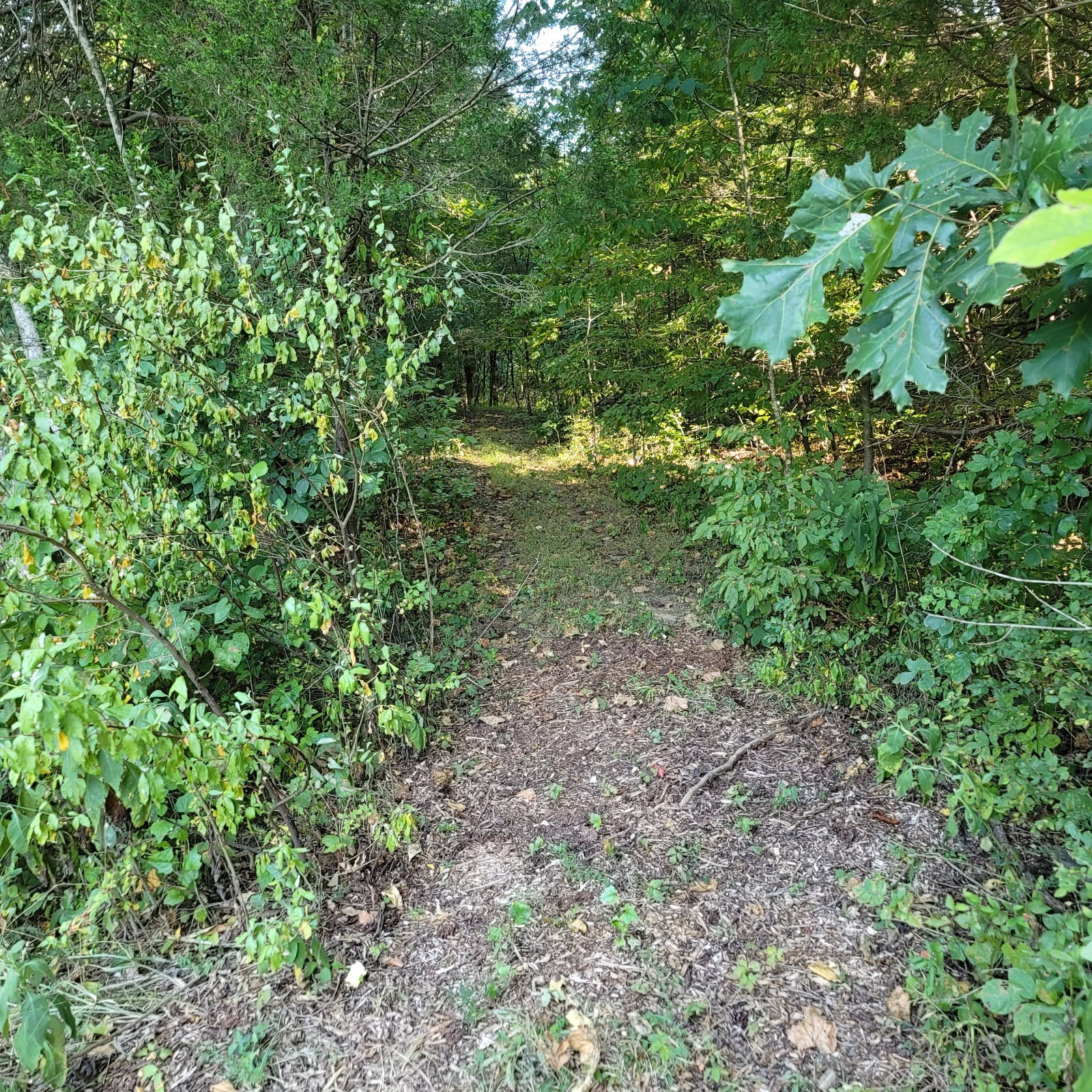 0 Greenfield Estates Drive Culleoka TN 38451