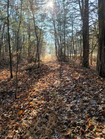 0 Greenfield Estates Drive Culleoka TN 38451