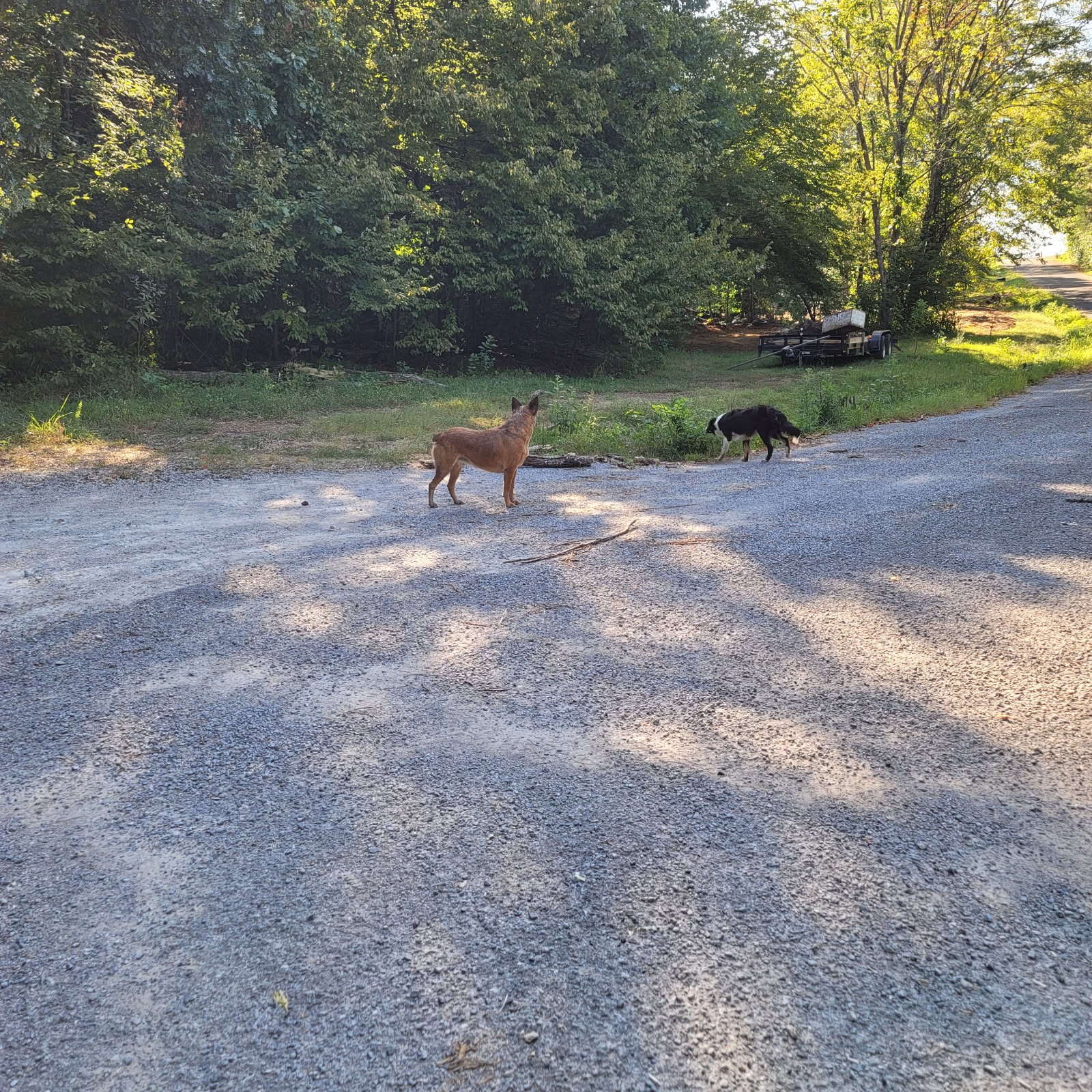 0 Greenfield Estates Drive Culleoka TN 38451