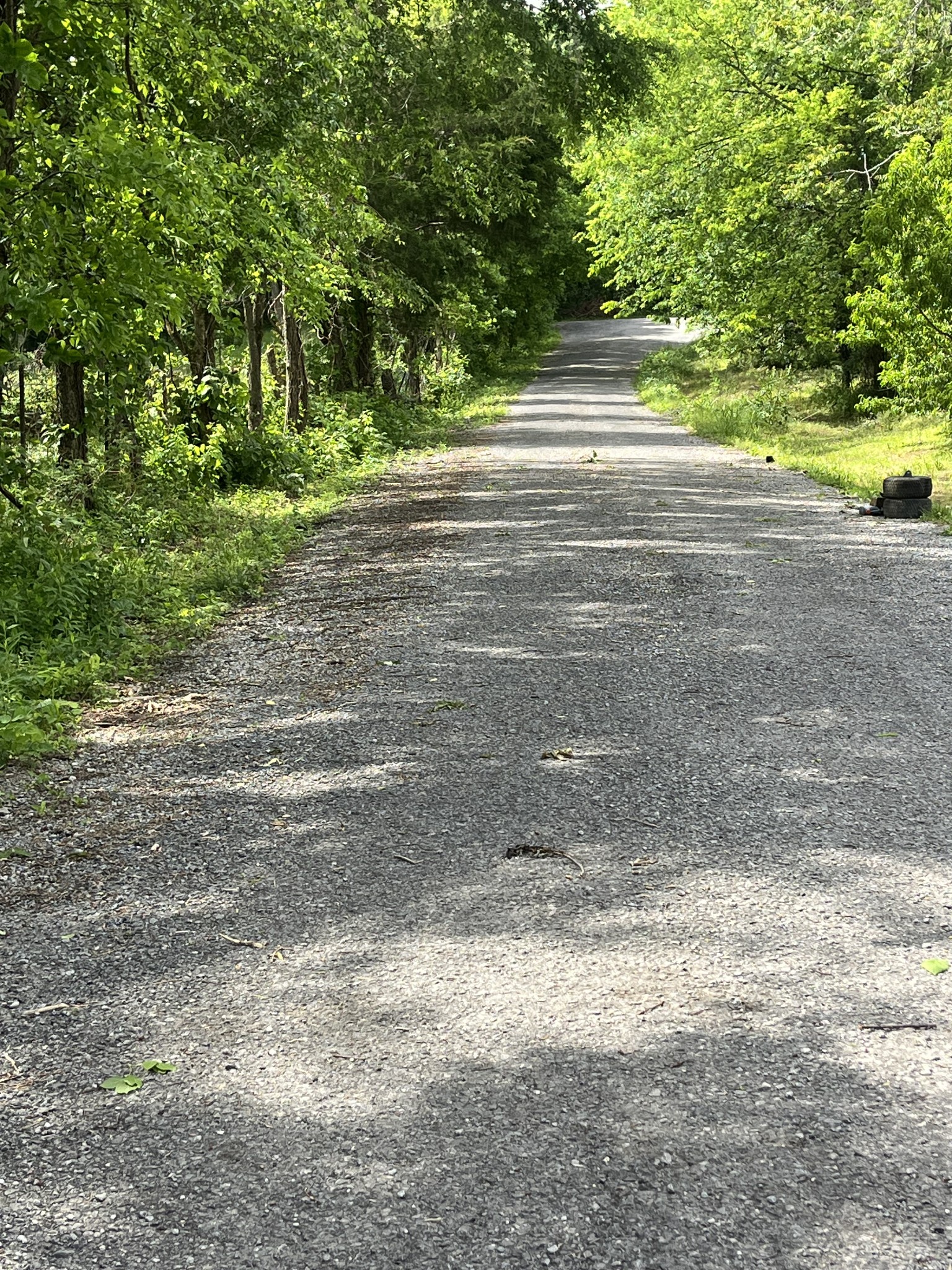0 Greenfield Estates Drive Culleoka TN 38451