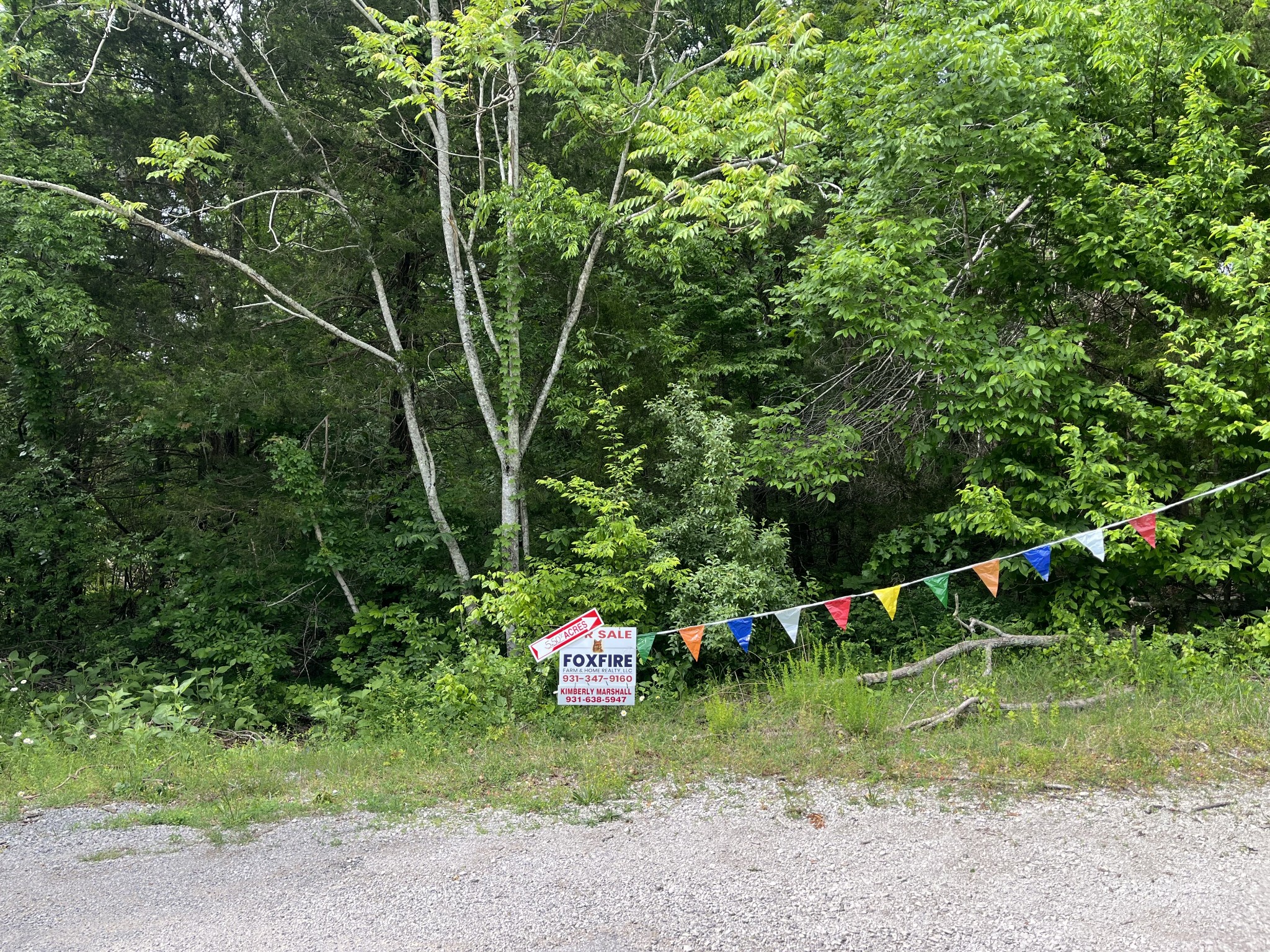 0 Greenfield Estates Drive Culleoka TN 38451
