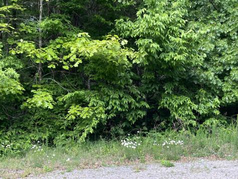 0 Greenfield Estates Drive Culleoka TN 38451