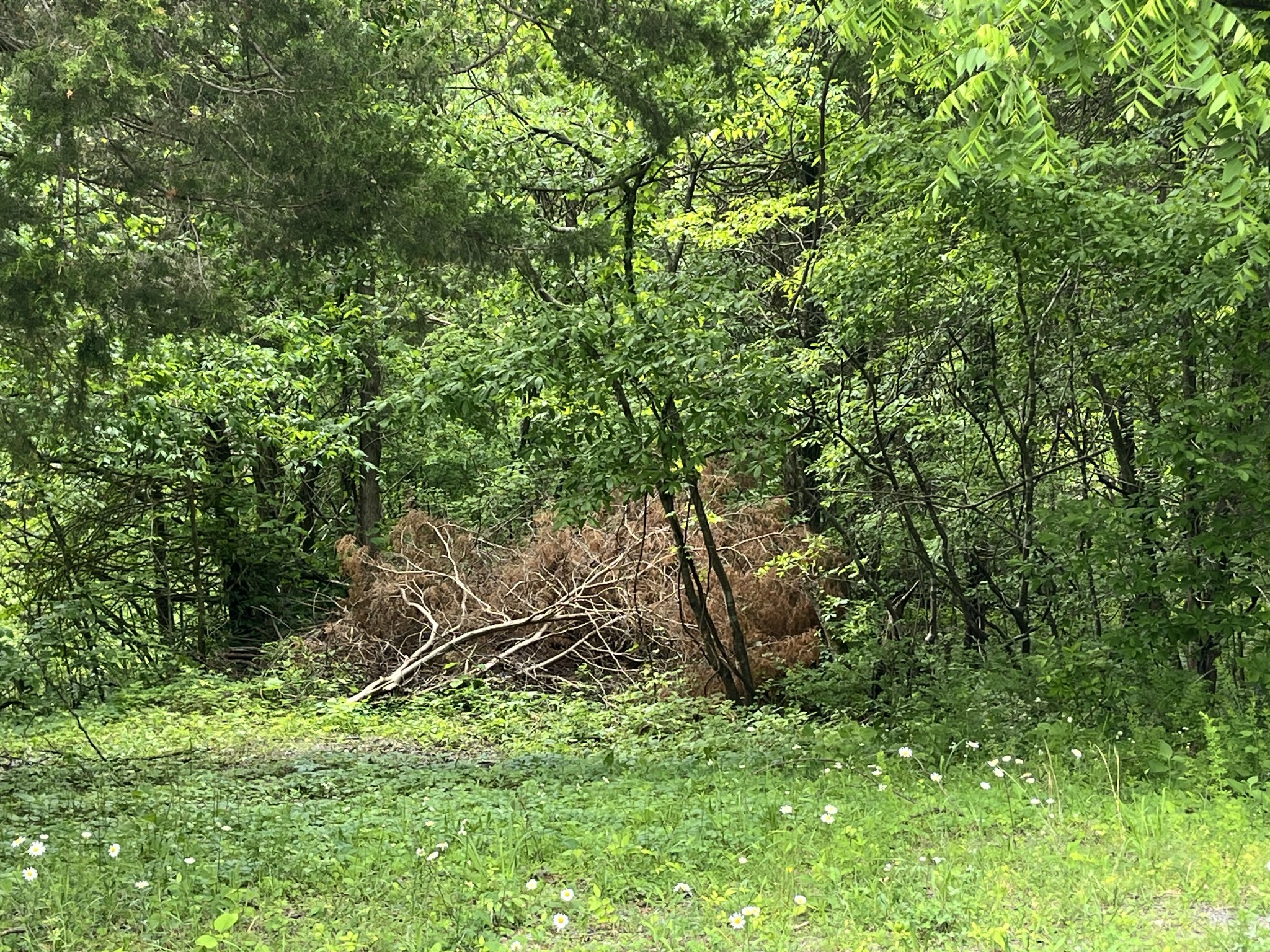 0 Greenfield Estates Drive Culleoka TN 38451