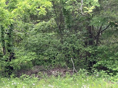 0 Greenfield Estates Drive Culleoka TN 38451