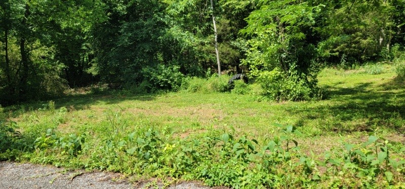 0 Greenfield Estates Drive Culleoka TN 38451
