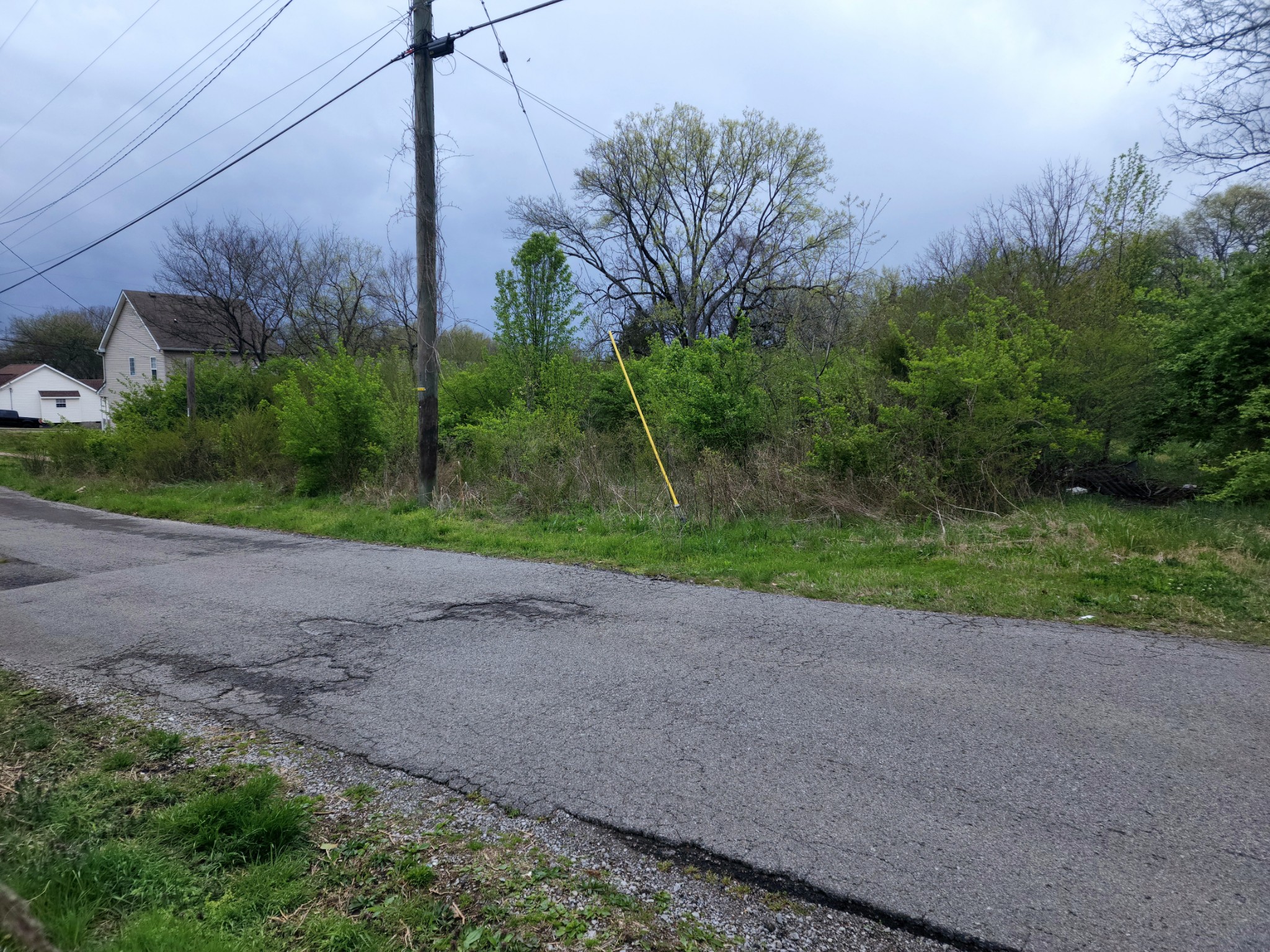 141 Shannon Avenue Madison TN 37115