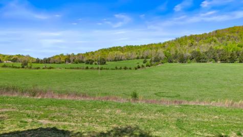 0 Dogtown Road Ten Mile TN 37880