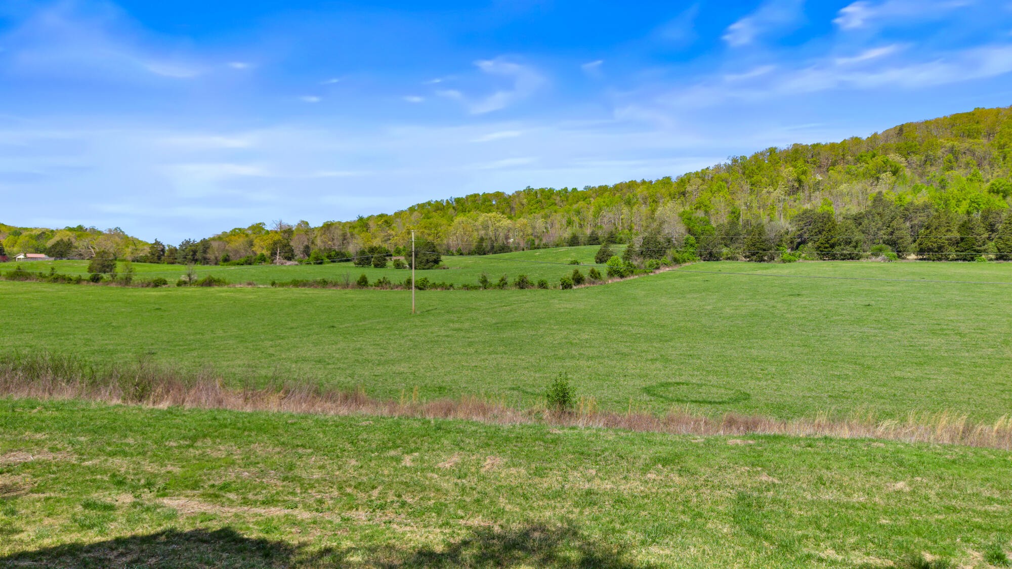 0 Dogtown Road Ten Mile TN 37880