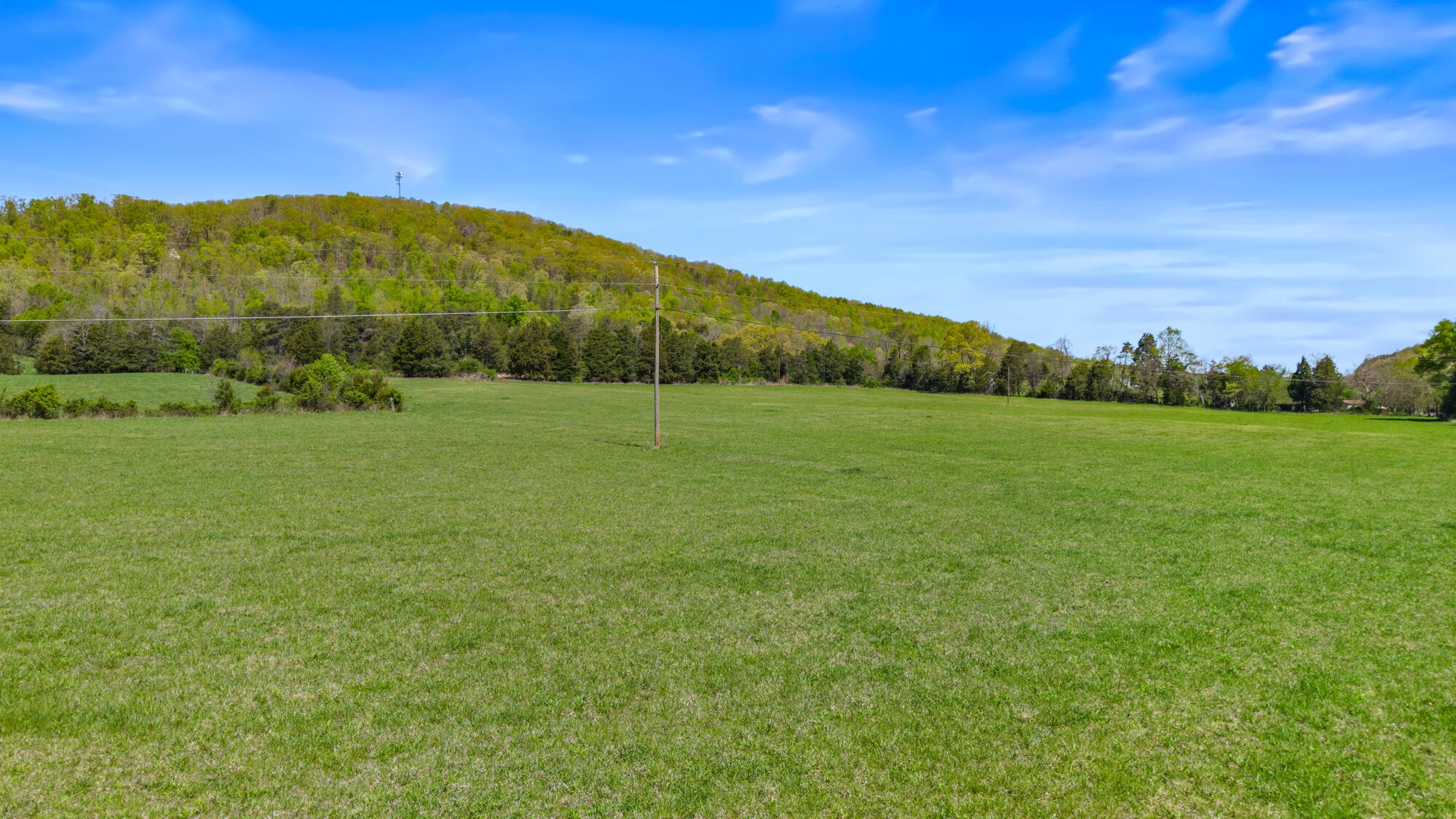 0 Dogtown Road Ten Mile TN 37880