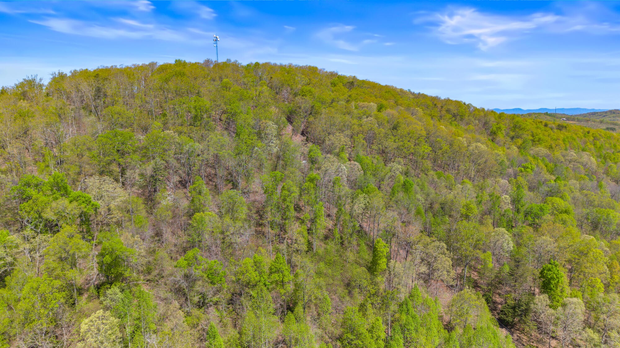 0 Dogtown Road Ten Mile TN 37880