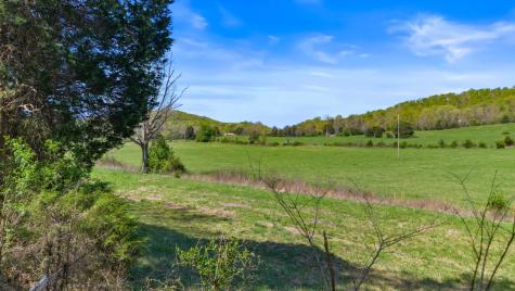 0 Dogtown Road Ten Mile TN 37880