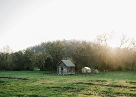 5545 Beech Hill Road Pulaski TN 38478