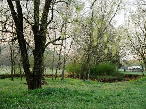 5545 Beech Hill Road Pulaski TN 38478