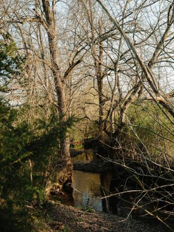 5545 Beech Hill Road Pulaski TN 38478