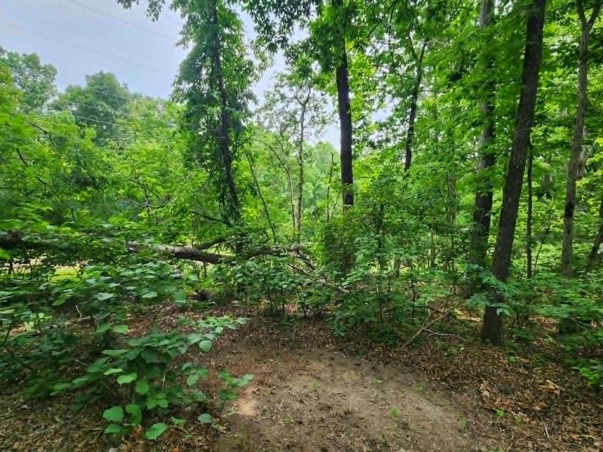 2132 Hidden Valley Drive Nunnelly TN 37137