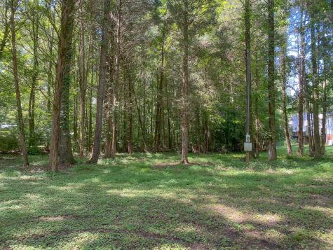 7289 Cuba Landing Road Waverly TN 37185