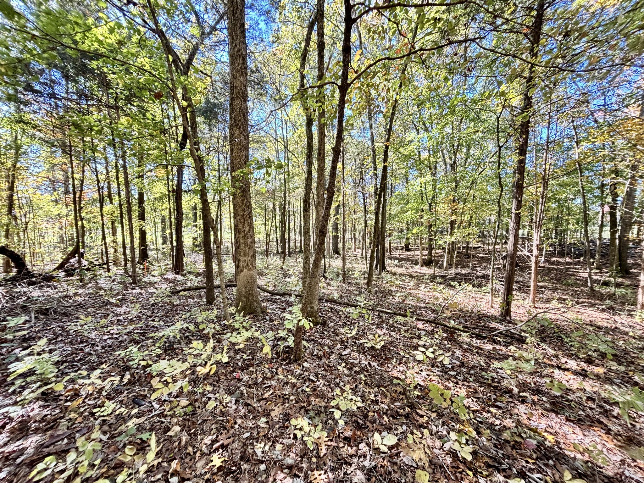 4740 Ash Hill Road Spring Hill TN 37174