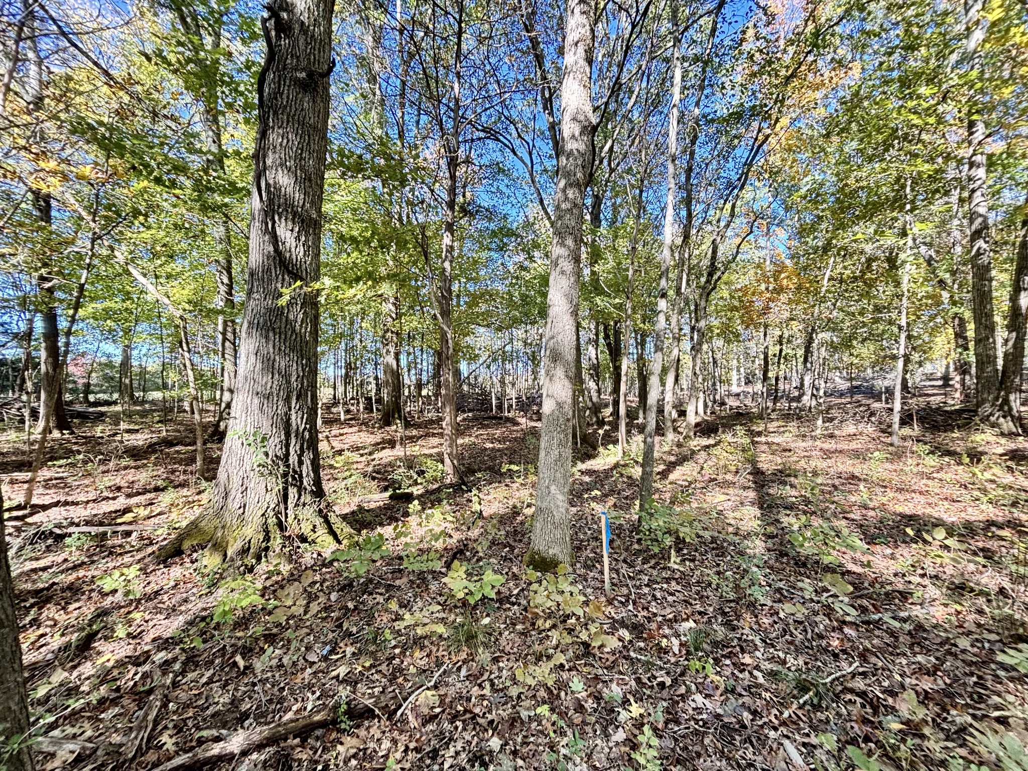 4740 Ash Hill Road Spring Hill TN 37174