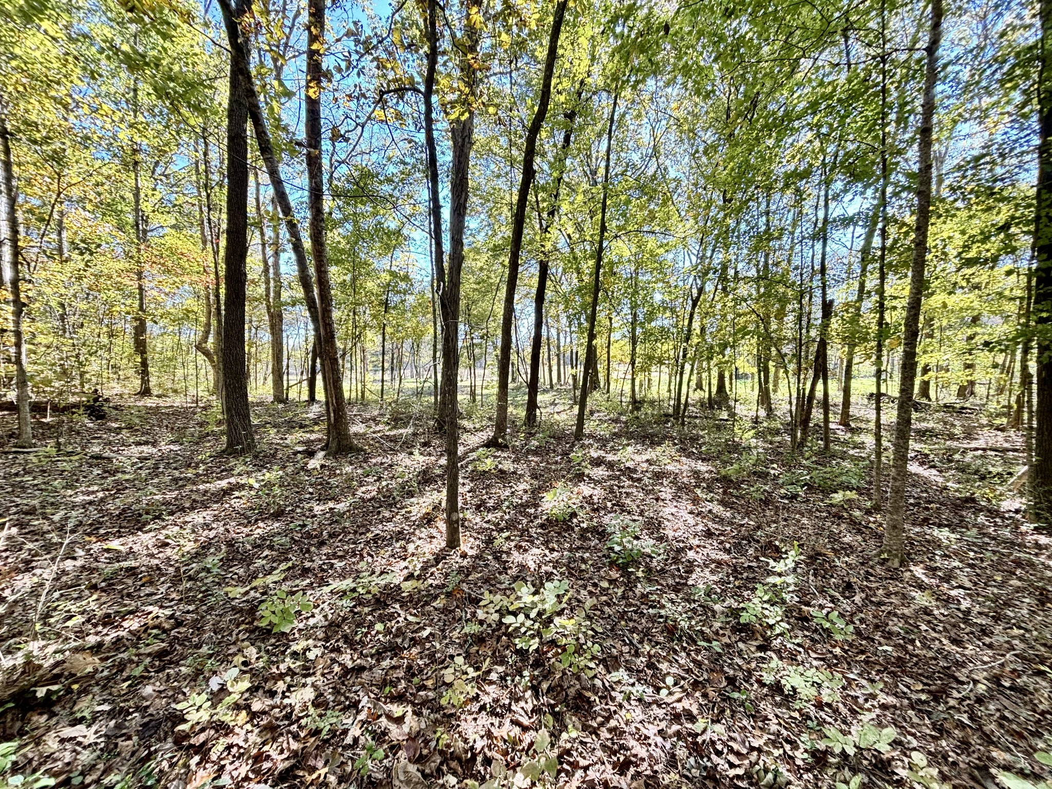 4740 Ash Hill Road Spring Hill TN 37174