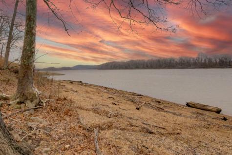 194 Lakeshore Circle Bumpus Mills TN 37028