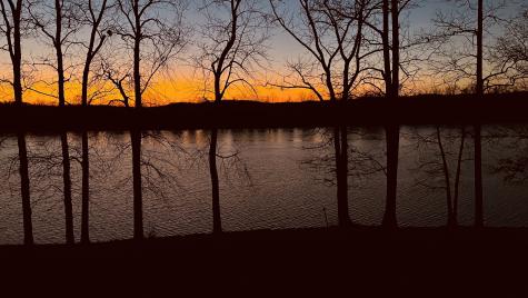 194 Lakeshore Circle Bumpus Mills TN 37028