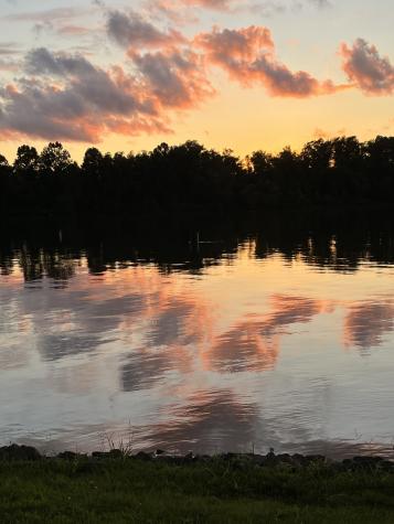 194 Lakeshore Circle Bumpus Mills TN 37028