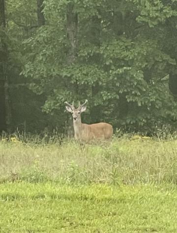 18459 Clarkrange Highway Monterey TN 38574