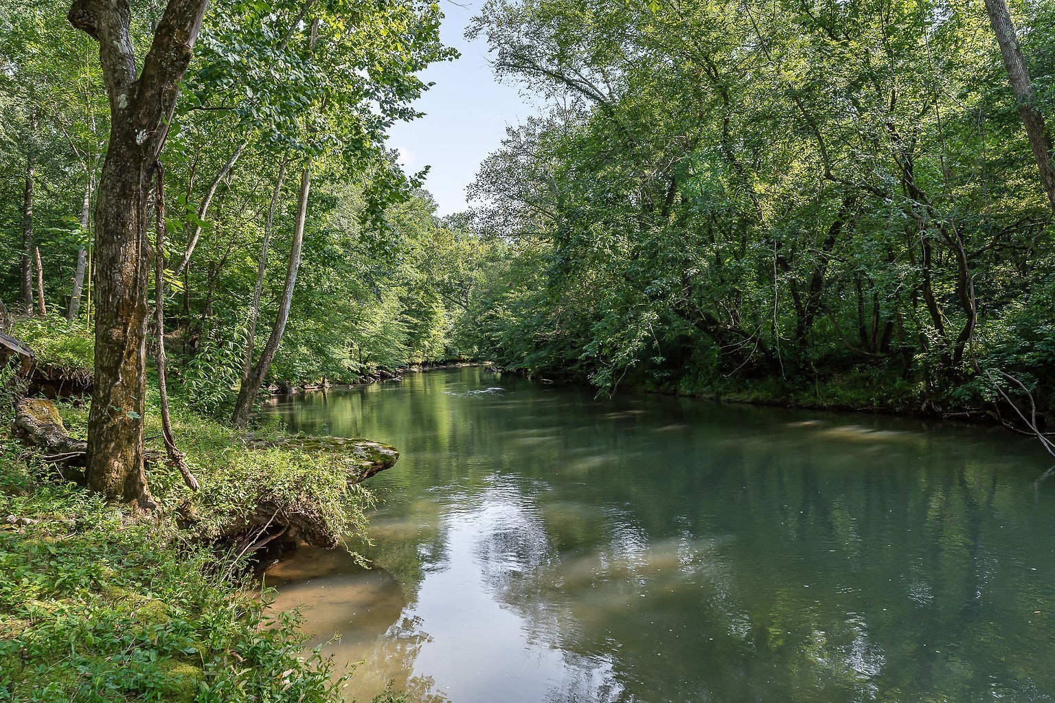 250 W Laurel Avenue Mcminnville TN 37110