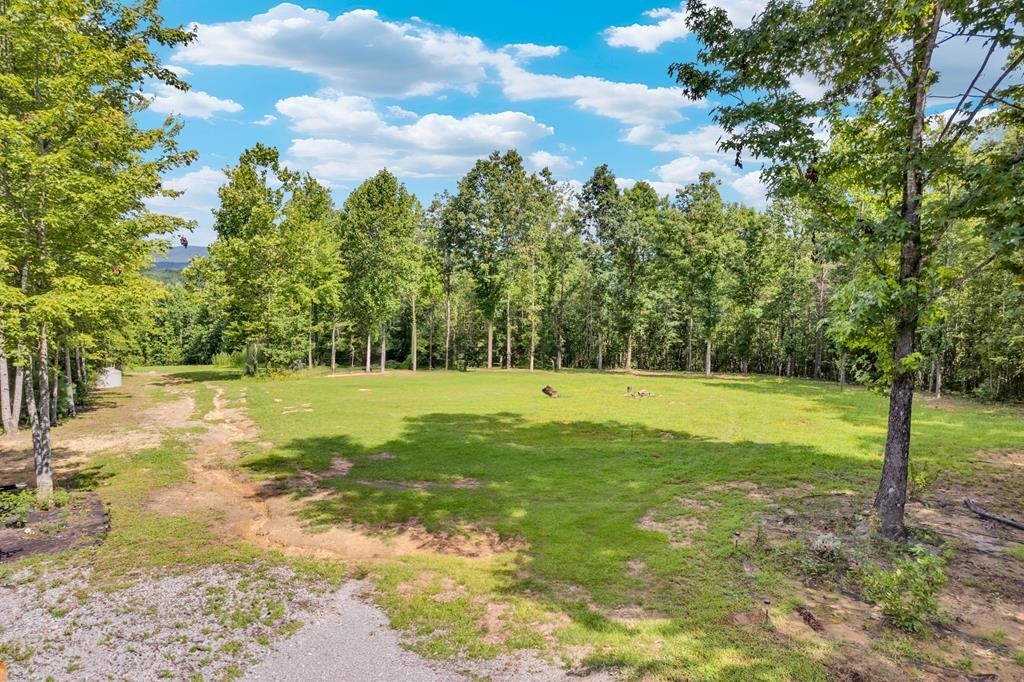 1280 Soak Creek Lane Grandview TN 37337