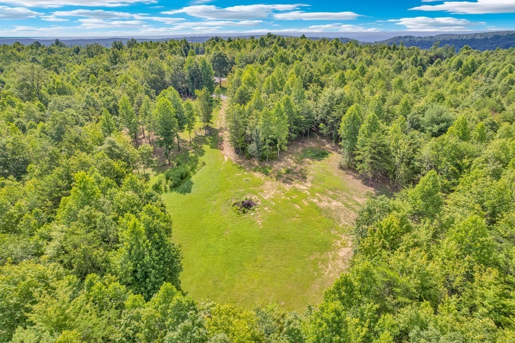1280 Soak Creek Lane Grandview TN 37337
