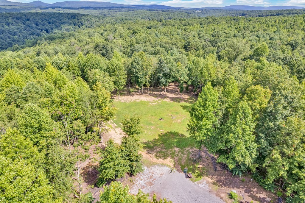 1280 Soak Creek Lane Grandview TN 37337