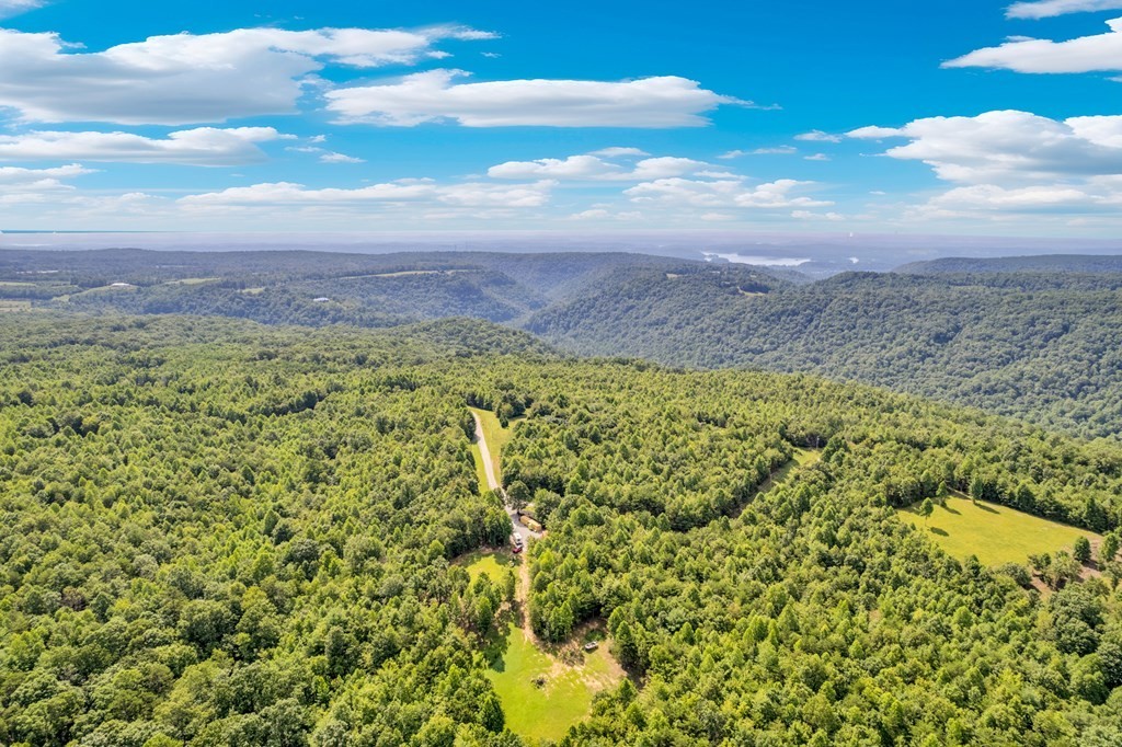 1280 Soak Creek Lane Grandview TN 37337