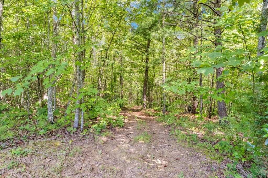 1280 Soak Creek Lane Grandview TN 37337