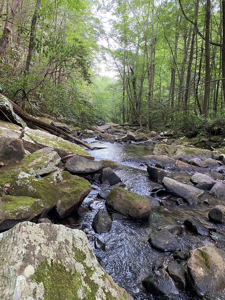 1280 Soak Creek Lane Grandview TN 37337