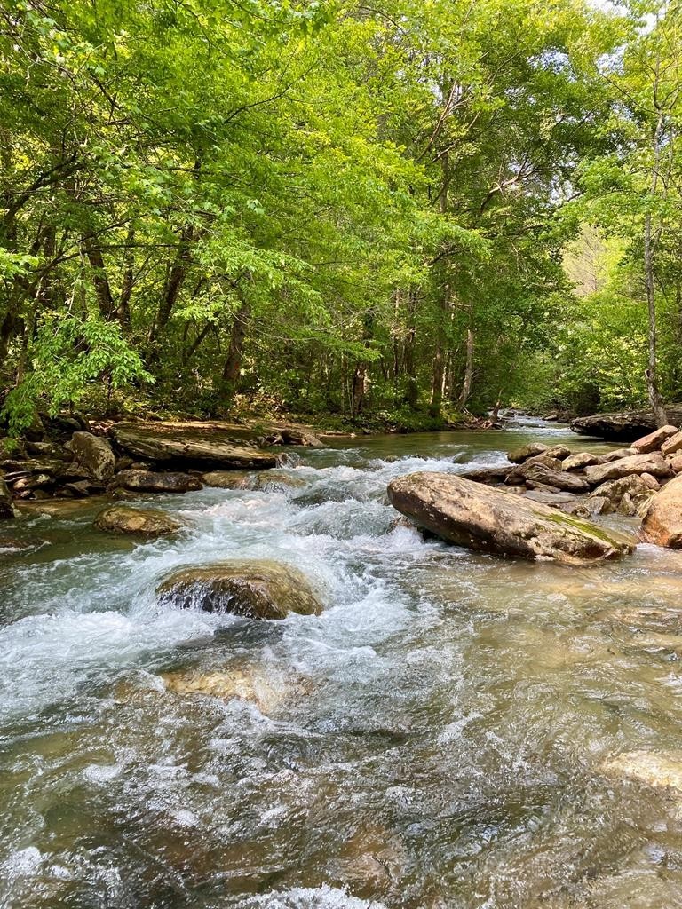 1280 Soak Creek Lane Grandview TN 37337