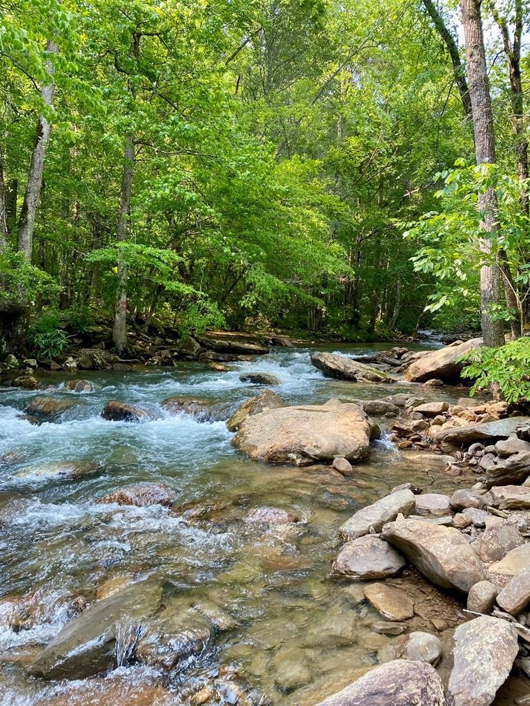 1280 Soak Creek Lane Grandview TN 37337