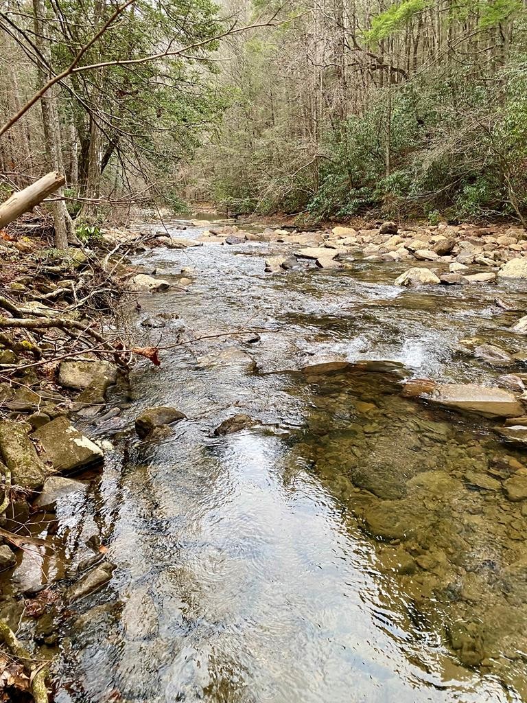 1280 Soak Creek Lane Grandview TN 37337