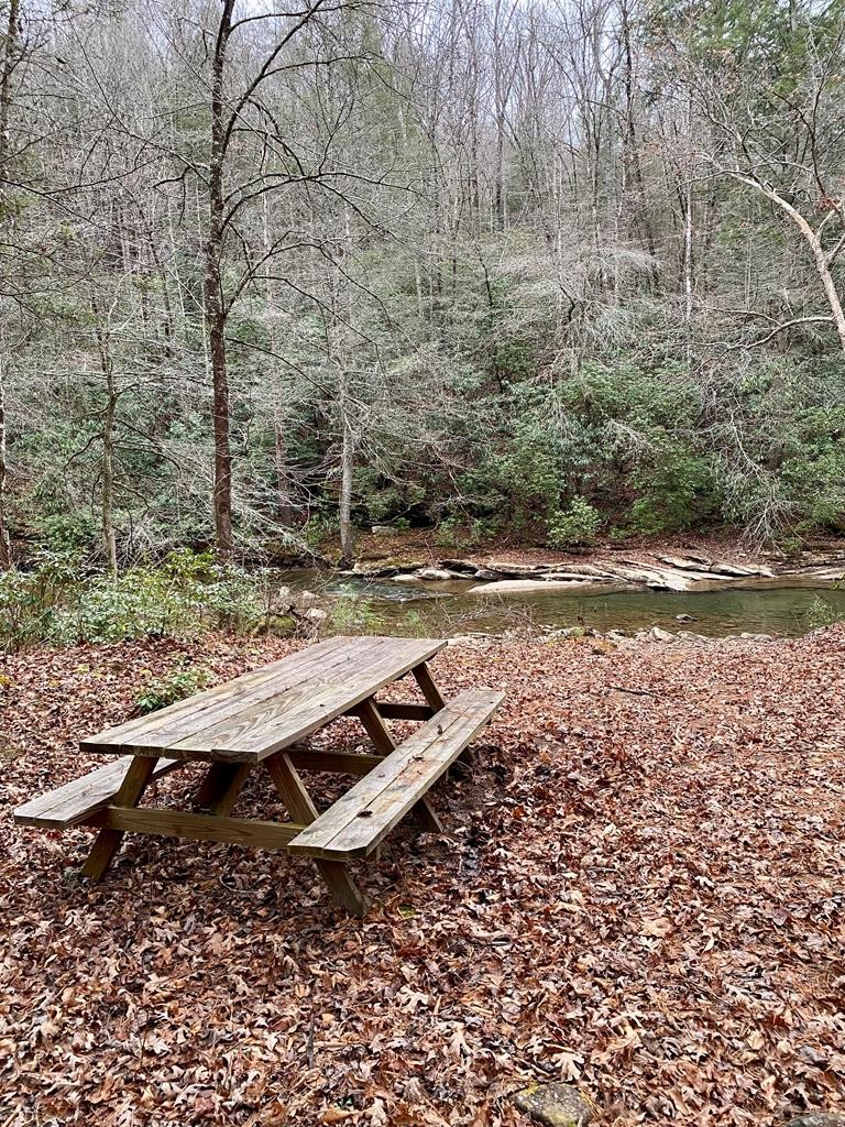 1280 Soak Creek Lane Grandview TN 37337