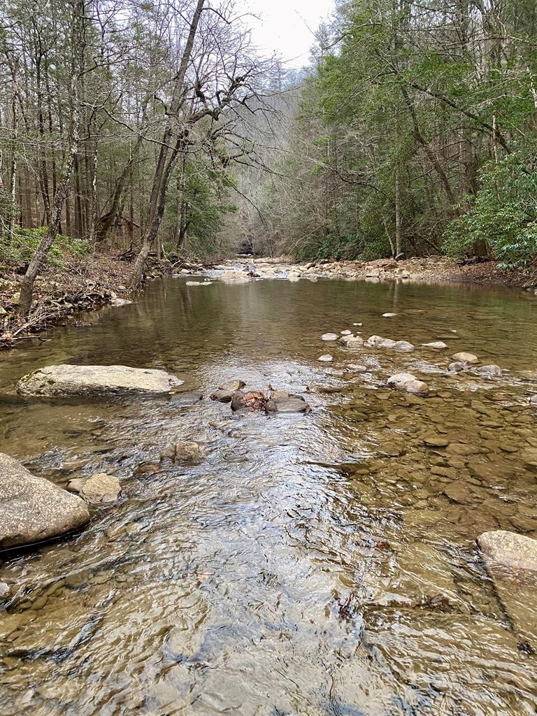 1280 Soak Creek Lane Grandview TN 37337