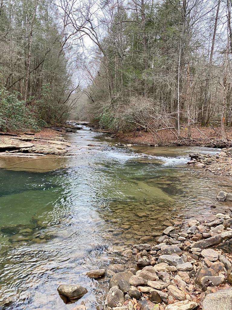 1280 Soak Creek Lane Grandview TN 37337