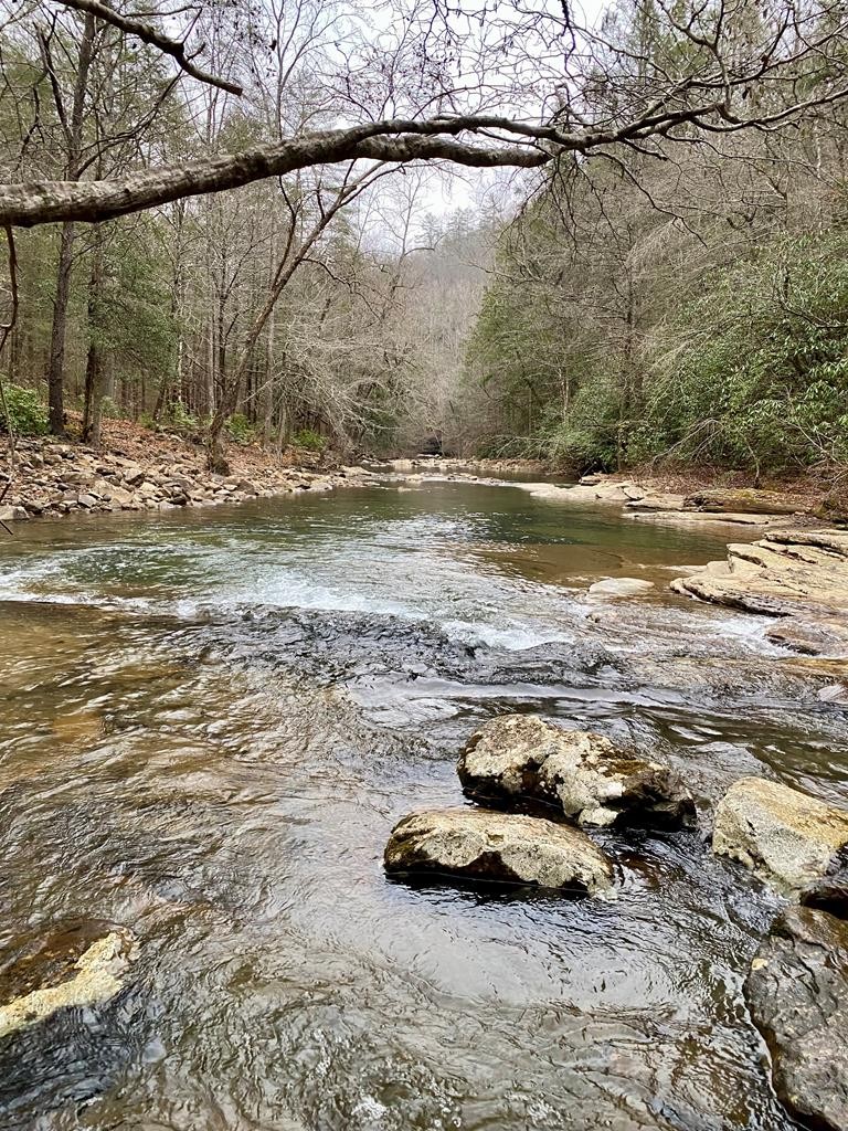 1280 Soak Creek Lane Grandview TN 37337