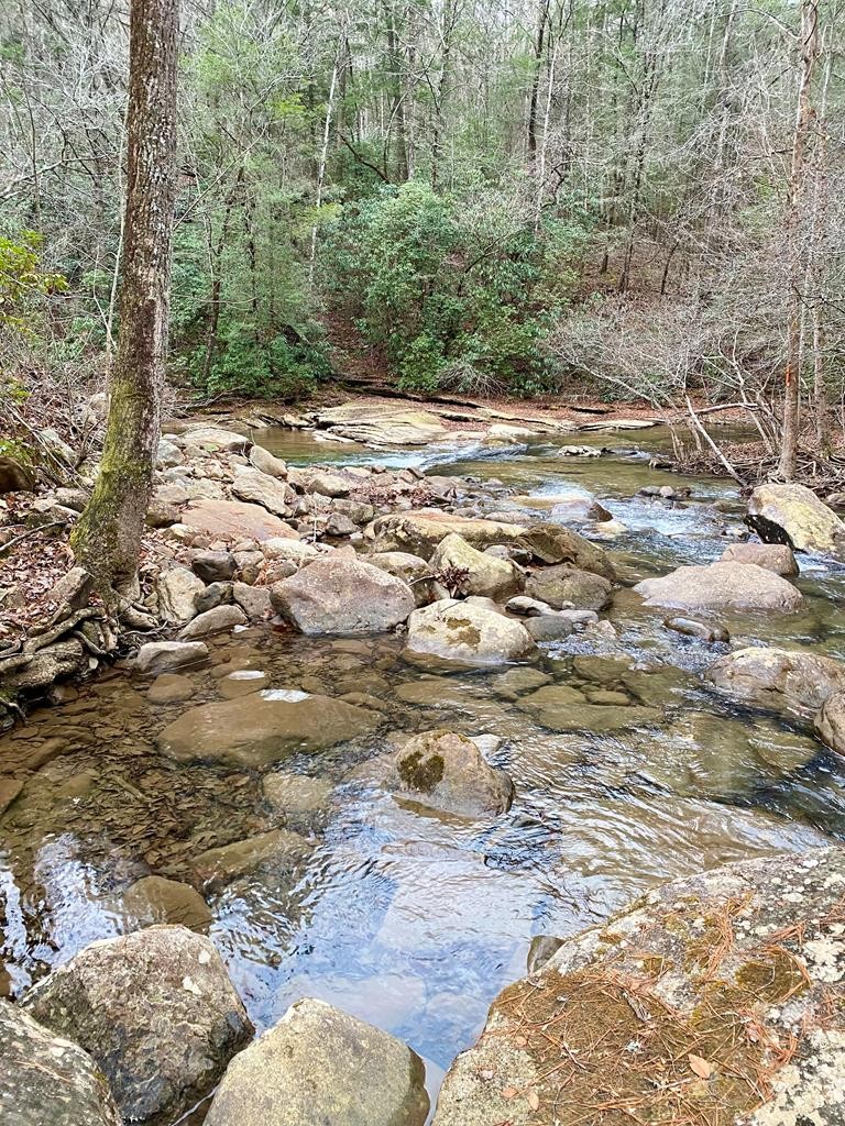 1280 Soak Creek Lane Grandview TN 37337