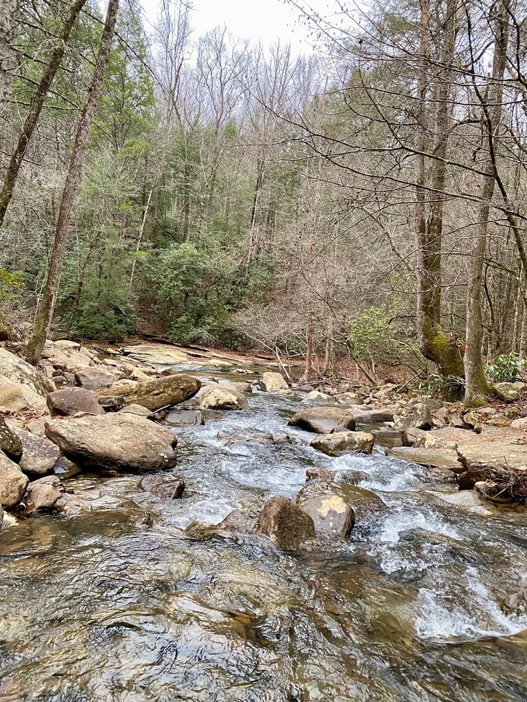 1280 Soak Creek Lane Grandview TN 37337