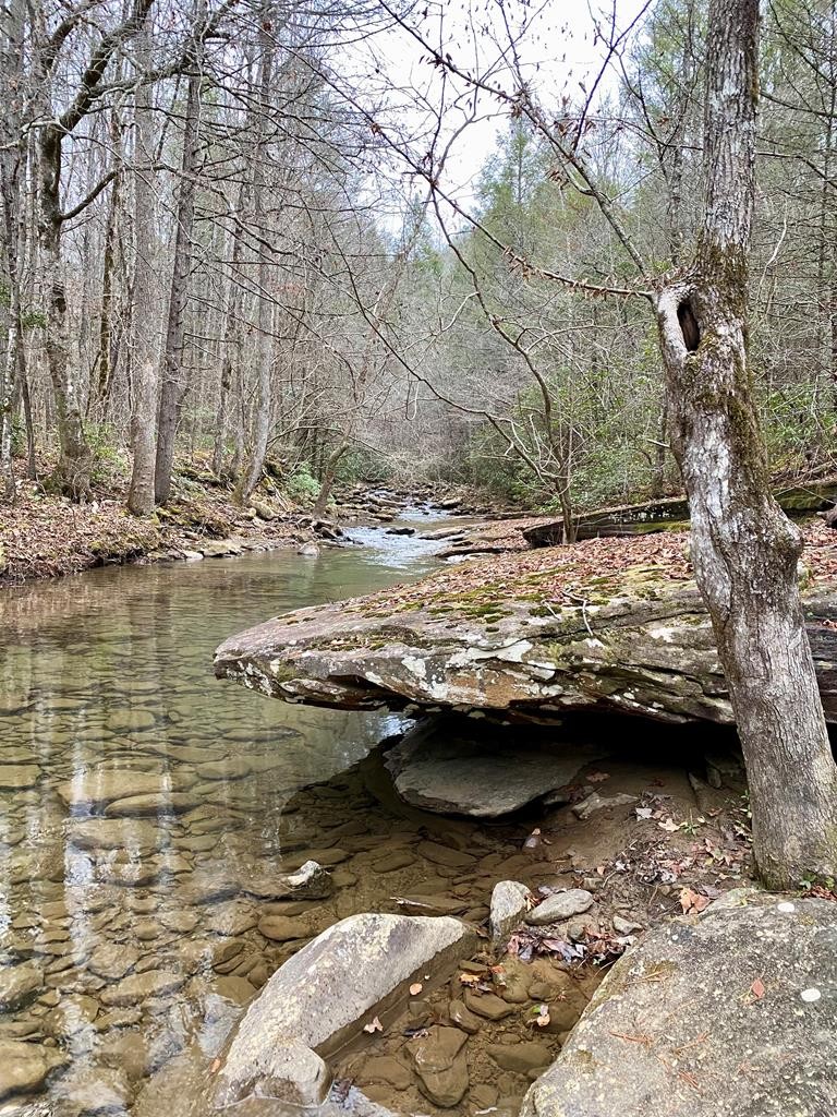 1280 Soak Creek Lane Grandview TN 37337