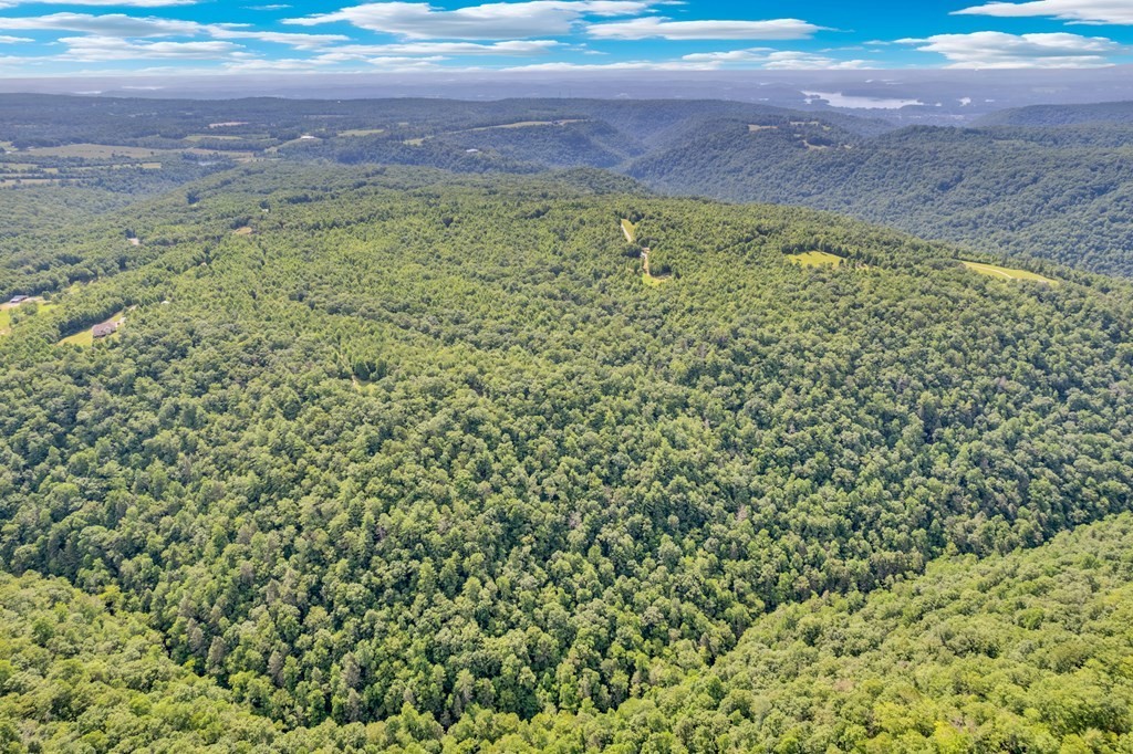 1280 Soak Creek Lane Grandview TN 37337