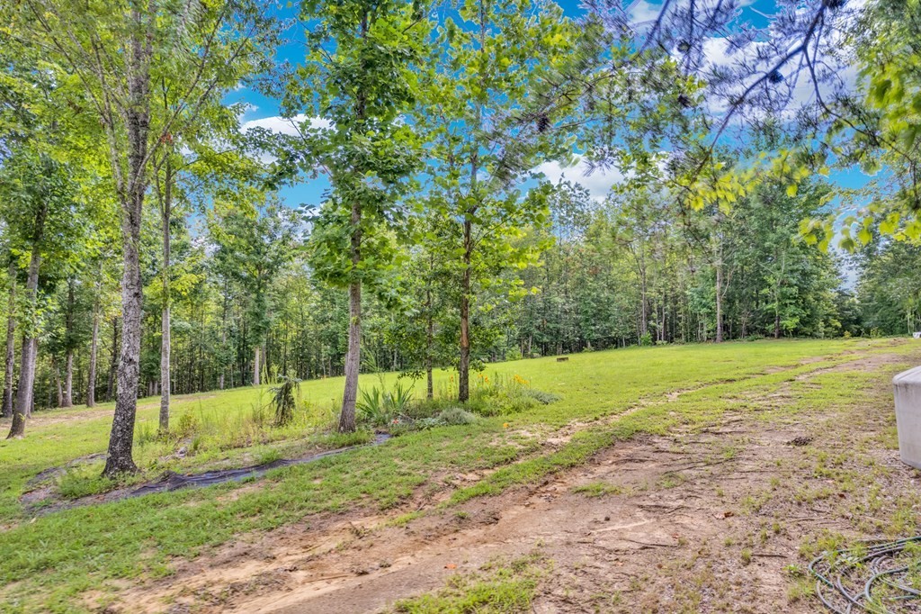 1280 Soak Creek Lane Grandview TN 37337