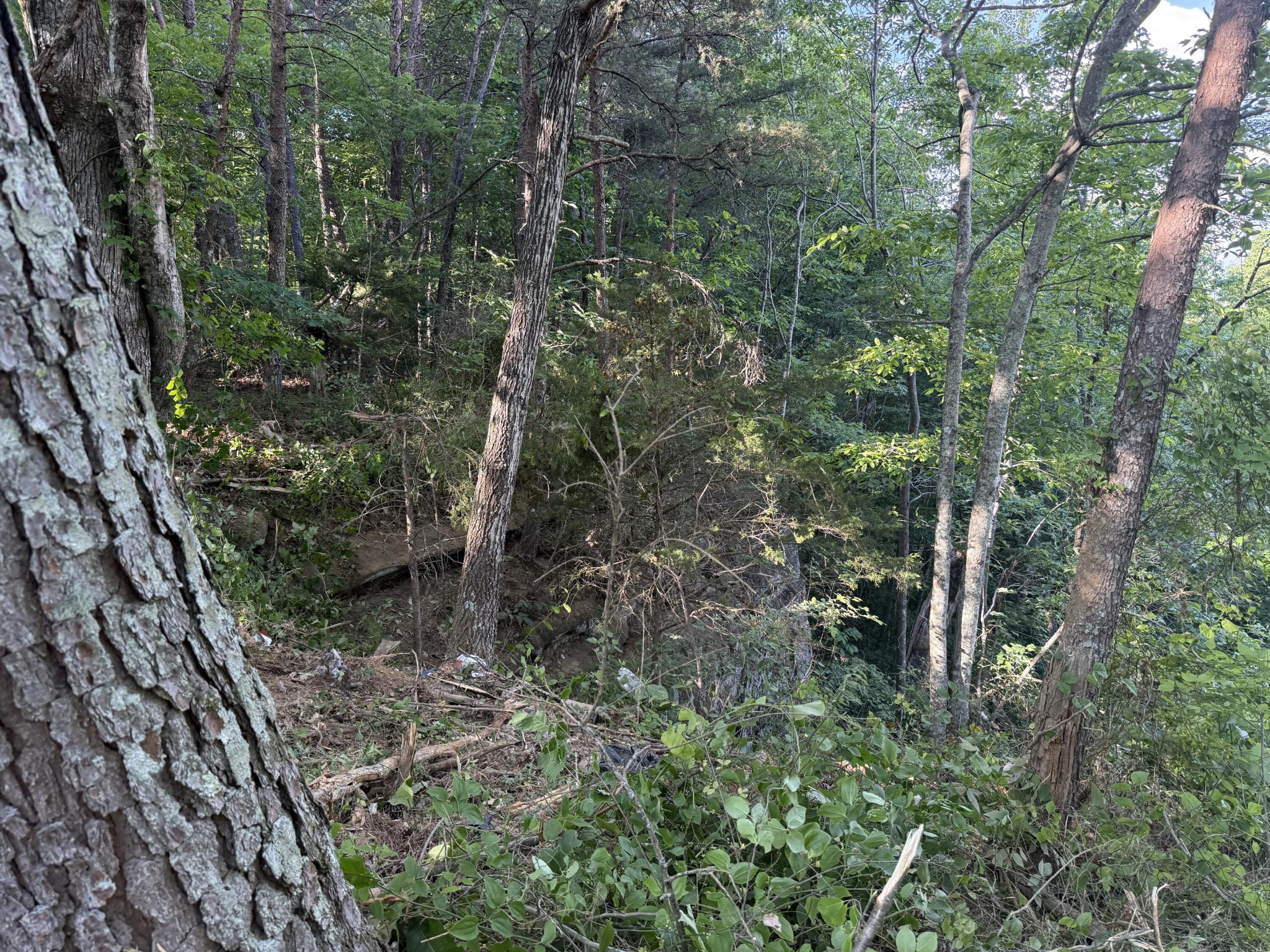 214 Middle Ridge Road Beersheba Springs TN 37305