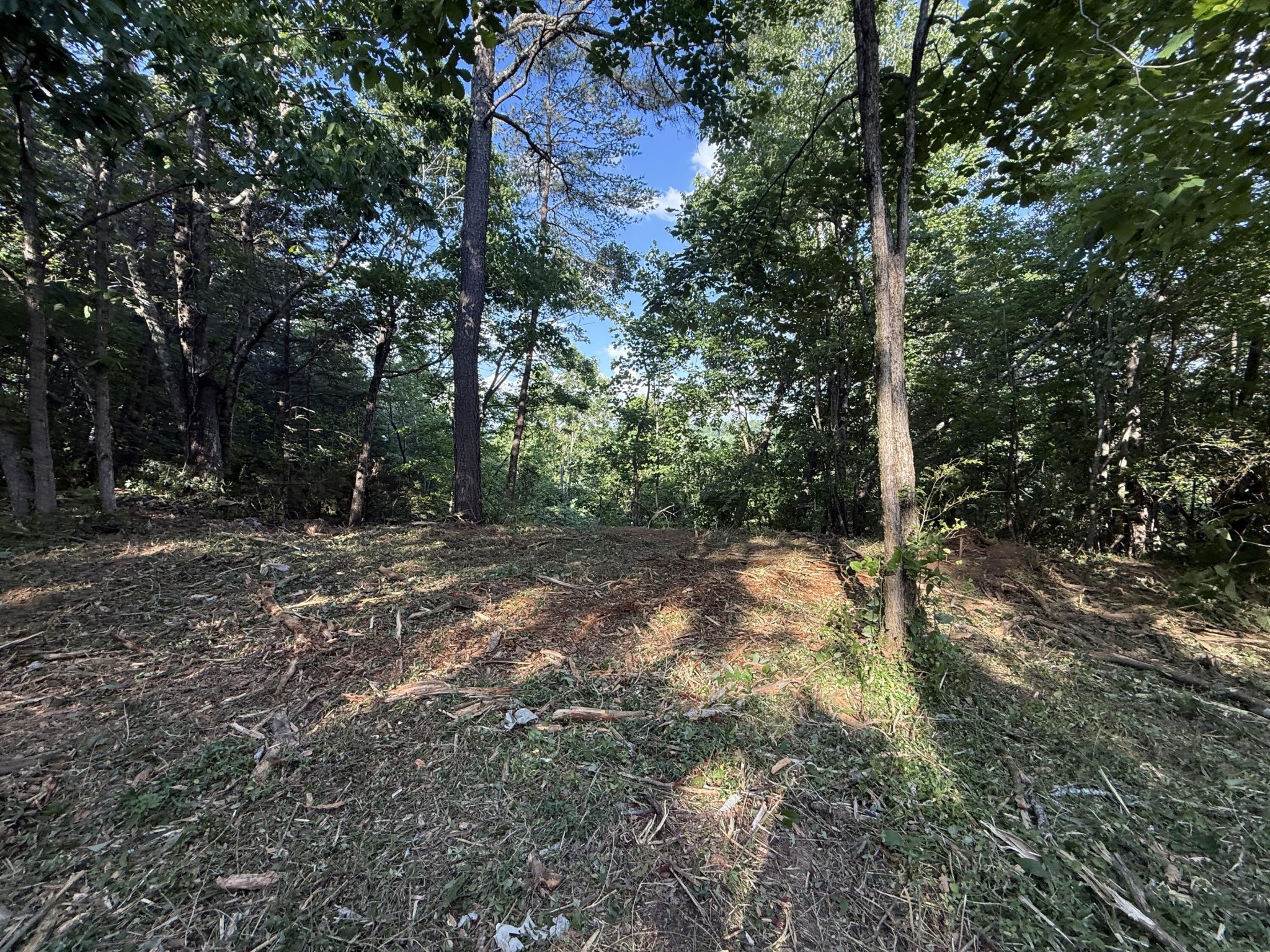 214 Middle Ridge Road Beersheba Springs TN 37305