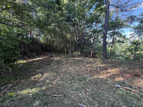 214 Middle Ridge Road Beersheba Springs TN 37305