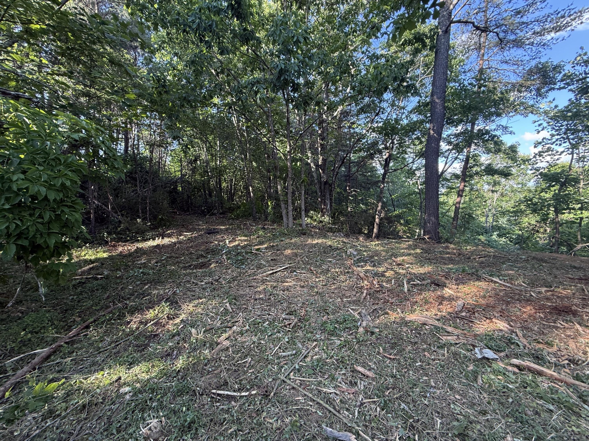 214 Middle Ridge Road Beersheba Springs TN 37305